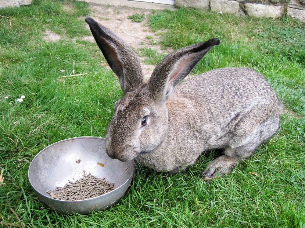 Picture: ../upload/IMG-16871.jpg