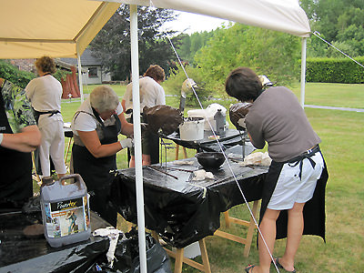 Picture: ../upload/IMG-5329.jpg