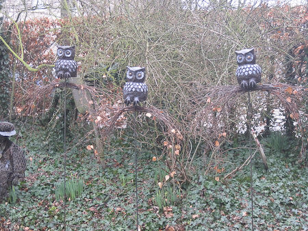 Picture: ../upload/IMG-6264.jpg