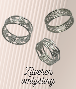 Workshop foto Zilveren omlijsting