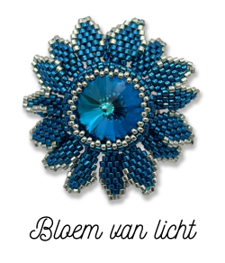 Workshop foto Bloem van licht